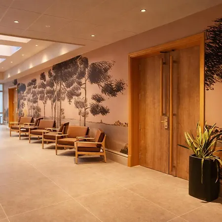 Hotel Ibis Aeroport Paris Orly Rungis